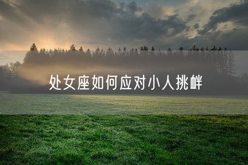 处女座如何应对小人挑衅(图1)