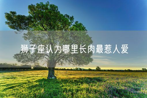 狮子座认为哪里长肉最惹人爱(图1) 狮子座认为哪里长肉最惹人爱(图1)