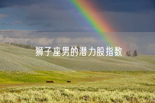 狮子座男的潜力股指数(图1) 狮子座男的潜力股指数(图1)