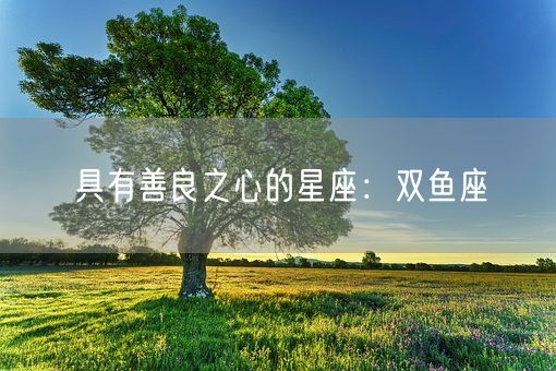 具有善良之心的星座：双鱼座(图1)