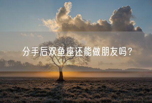 分手后双鱼座还能做朋友吗？(图1)