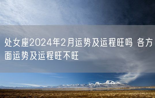 处女座2024年2月运势及运程旺吗 各方面运势及运程旺不旺(图1)