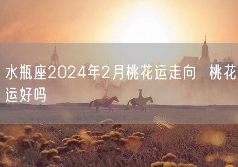 水瓶座2024年2月桃花运走向  桃花运好吗(图1)