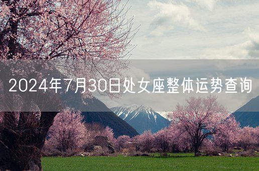 2024年7月30日处女座整体运势查询(图1)