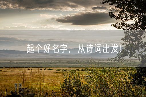 起个好名字，从诗词出发！(图1)