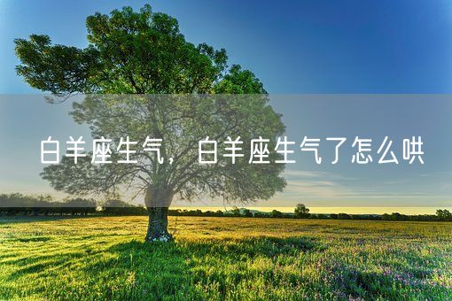 白羊座生气，白羊座生气了怎么哄(图1)