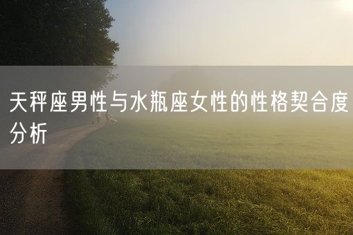 天秤座男性与水瓶座女性的性格契合度分析(图1)