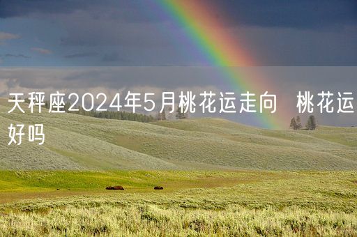 天秤座2024年5月桃花运走向  桃花运好吗(图1)