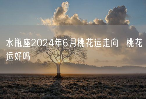 水瓶座2024年6月桃花运走向  桃花运好吗(图1)