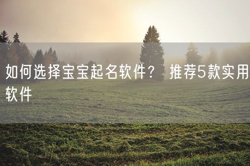 如何选择宝宝起名软件？ 推荐5款实用软件(图1)