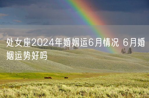 处女座2024年婚姻运6月情况 6月婚姻运势好吗(图1)