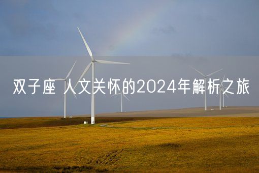 双子座 人文关怀的2024年解析之旅(图1)