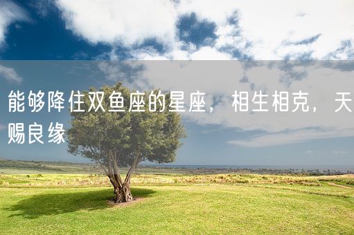 能够降住双鱼座的星座，相生相克，天赐良缘(图1)