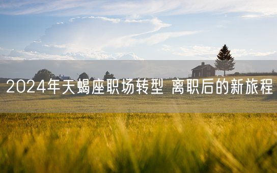 2024年天蝎座职场转型 离职后的新旅程(图1)