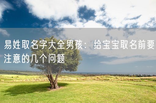 易姓取名字大全男孩：给宝宝取名前要注意的几个问题(图1)