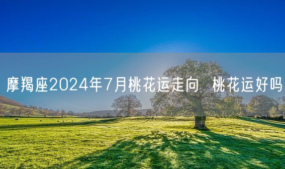 摩羯座2024年7月桃花运走向  桃花运好吗(图1)