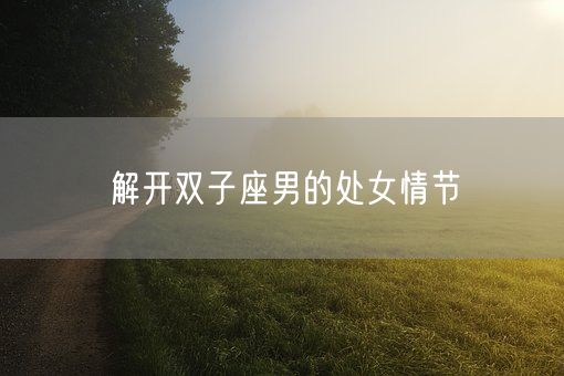 解开双子座男的处女情节(图1)