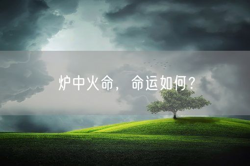 炉中火命，命运如何？(图1)