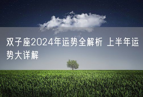 双子座2024年运势全解析 上半年运势大详解(图1)