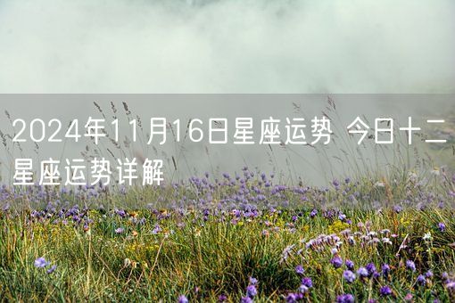 2024年11月16日星座运势 今日十二星座运势详解(图1)
