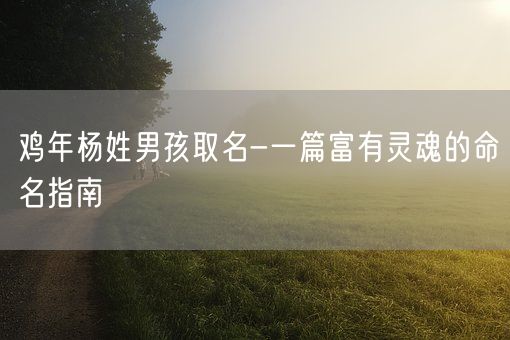 鸡年杨姓男孩取名-一篇富有灵魂的命名指南(图1)