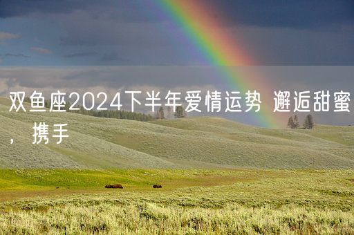 双鱼座2024下半年爱情运势 邂逅甜蜜，携手(图1)