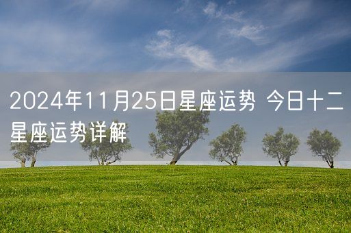 2024年11月25日星座运势 今日十二星座运势详解(图1)