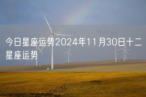 今日星座运势2024年11月30日十二星座运势(图1)