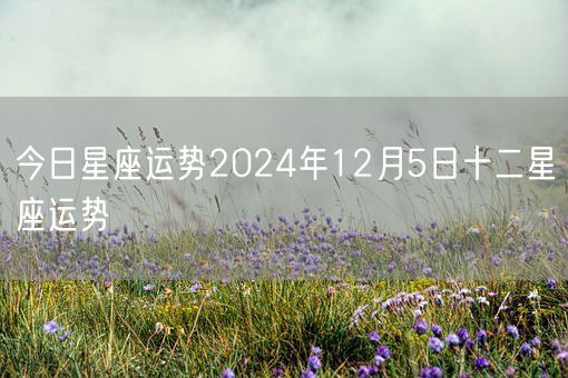 今日星座运势2024年12月5日十二星座运势(图1)