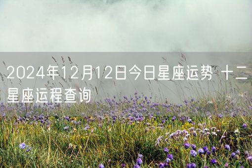 2024年12月12日今日星座运势 十二星座运程查询(图1)