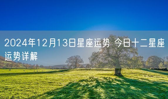2024年12月13日星座运势 今日十二星座运势详解(图1)