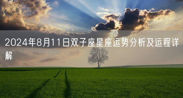 2024年8月11日双子座星座运势分析及运程详解(图1)