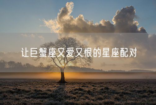 让巨蟹座又爱又恨的星座配对(图1)