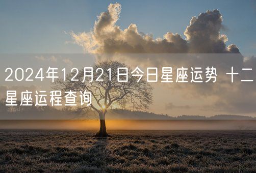2024年12月21日今日星座运势 十二星座运程查询(图1)