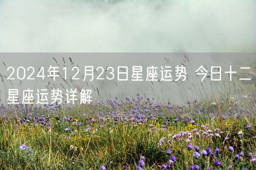 2024年12月23日星座运势 今日十二星座运势详解(图1)