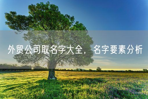 外贸公司取名字大全，名字要素分析(图1)