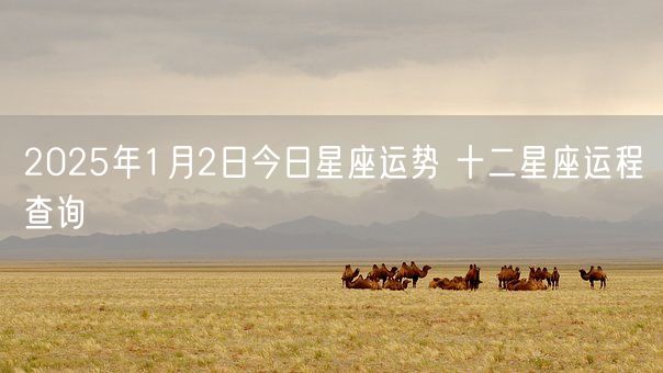 2025年1月2日今日星座运势 十二星座运程查询(图1)