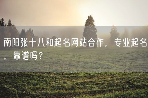 南阳张十八和起名网站合作，专业起名，靠谱吗？(图1)