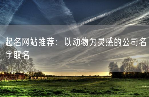 起名网站推荐：以动物为灵感的公司名字取名(图1)