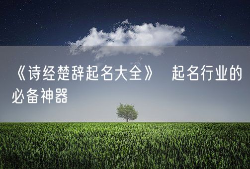 《诗经楚辞起名大全》  起名行业的必备神器(图1)