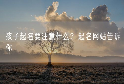 孩子起名要注意什么？起名网站告诉你(图1)