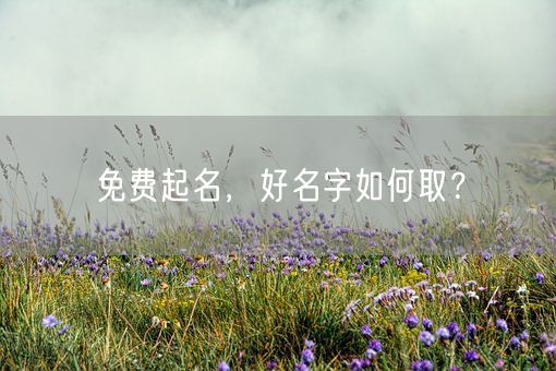 免费起名，好名字如何取？(图1)