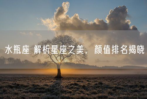 水瓶座 解析星座之美，颜值排名揭晓(图1)