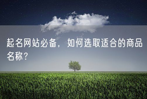 起名网站必备，如何选取适合的商品名称？(图1)