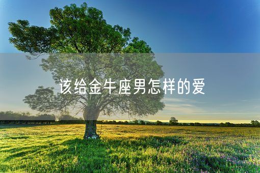 该给金牛座男怎样的爱(图1) 该给金牛座男怎样的爱(图1)