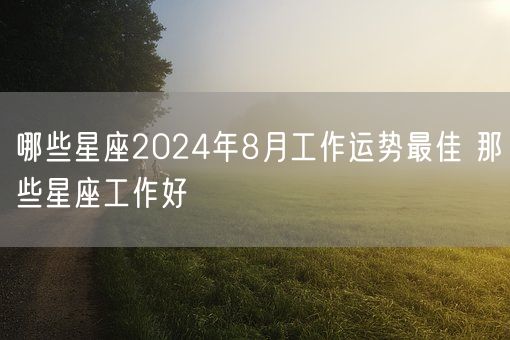 哪些星座2024年8月工作运势最佳 那些星座工作好(图1)