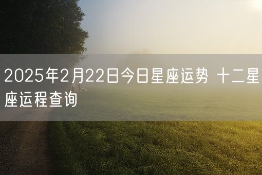 2025年2月22日今日星座运势 十二星座运程查询(图1)