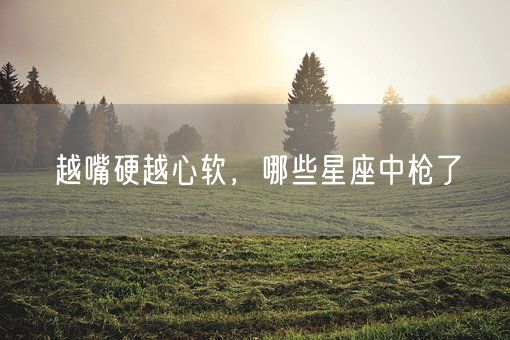 越嘴硬越心软,哪些星座中枪了(图1) 越嘴硬越心软,哪些星座中枪了(图1)