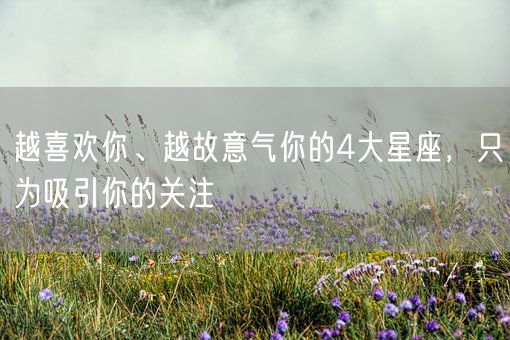 越喜欢你、越故意气你的4大星座,只为吸引你的关注(图1) 越喜欢你、越故意气你的4大星座,只为吸引你的关注(图1)