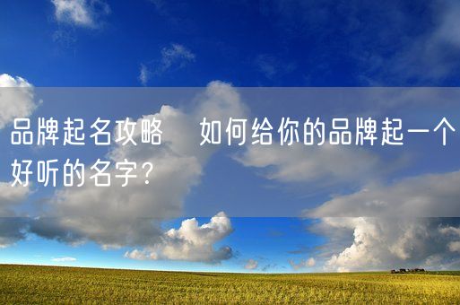 品牌起名攻略   如何给你的品牌起一个好听的名字？(图1)